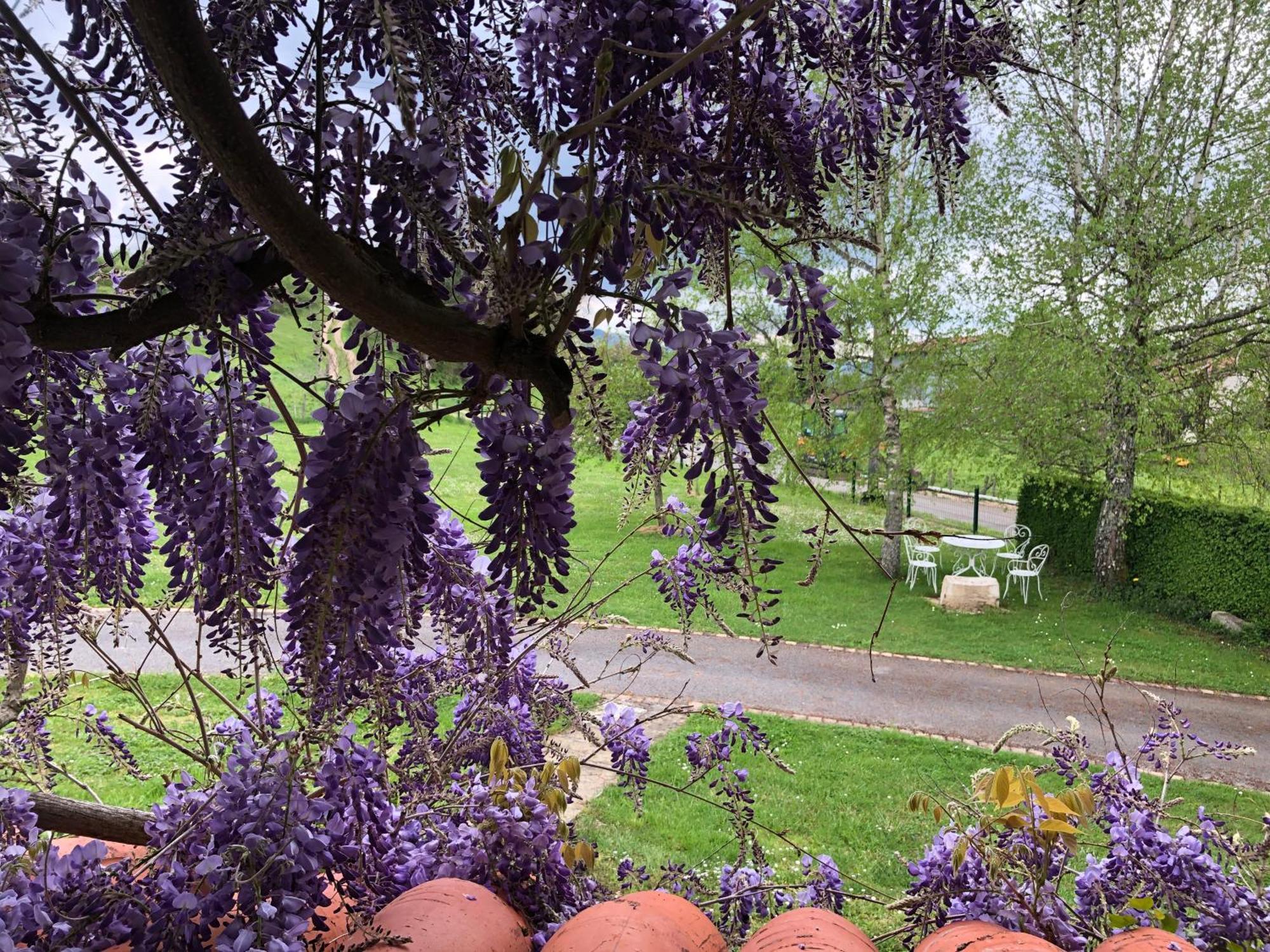 Gite De L'Ancheronne 12 Couchages Spa Lavans-sur-Valouse Exteriér fotografie